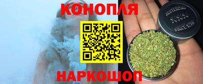 гашик Гай