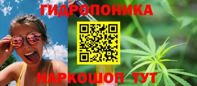 гашик Гай