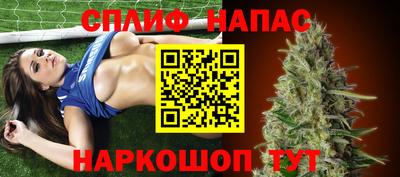 гашик Гай