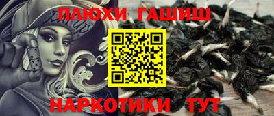 гашик Гай