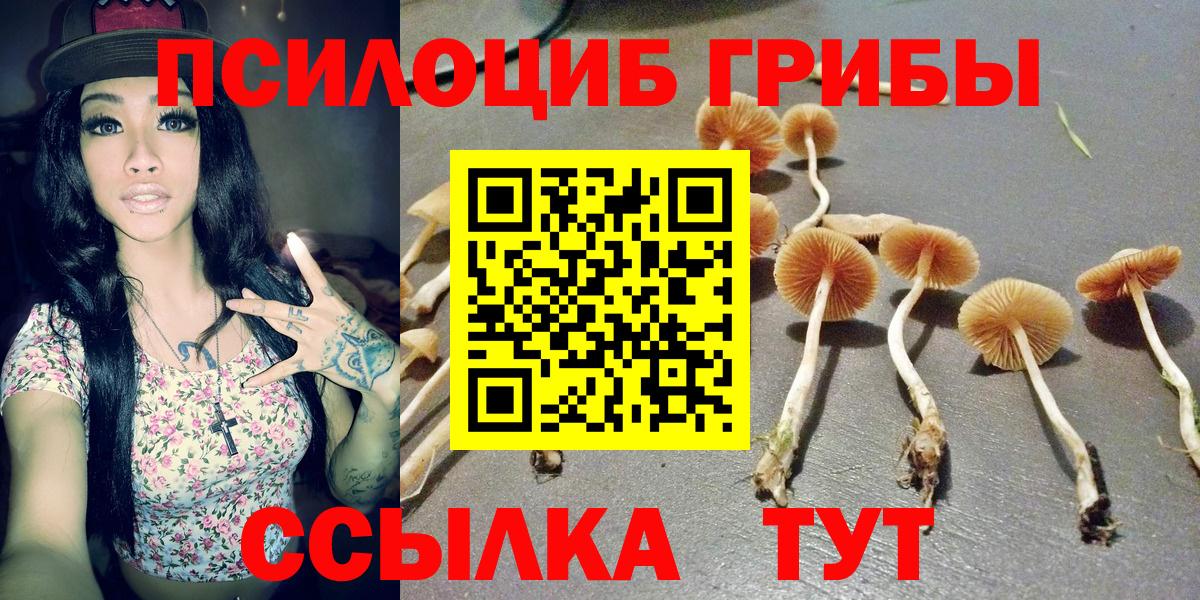 Комсомольск-на-Амуре  Галлюциногенные грибы MAGIC MUSHROOMS  Вход с VPN 